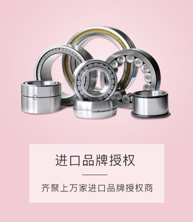 進口品牌軸承